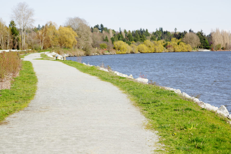 Sidewalk down a vibrant green grassy field.