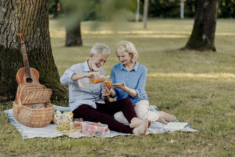 Senior couple having a picnic under a tree