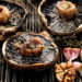 Vegetarian? You Can Still Become A Grill Expert