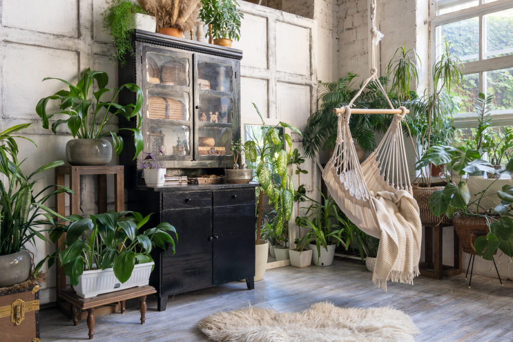Cozy rope swing in living room with green houseplants
